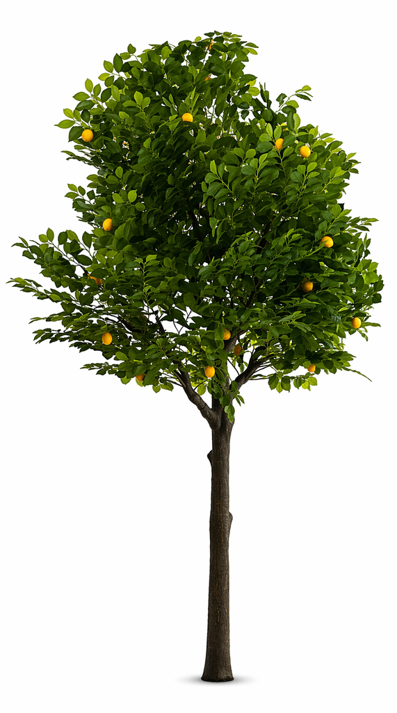 Kunstig sitrontre 2,5 m (standard)
