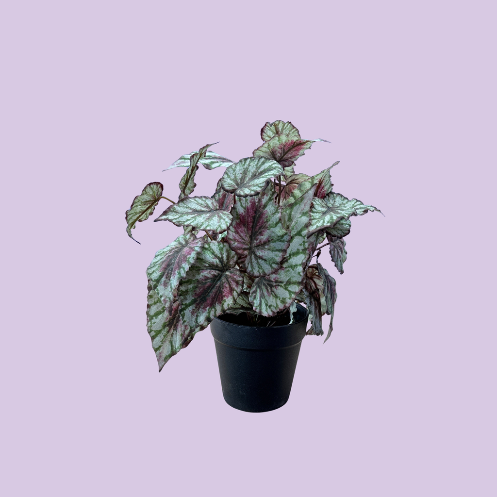 Kunstig Begonia