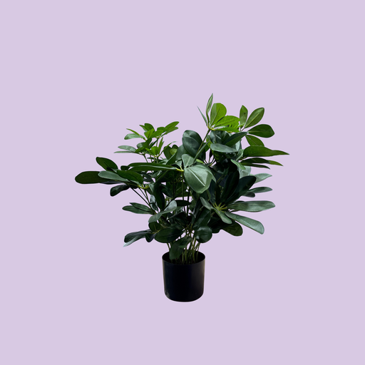 [2065] Kunstig Baby Schefflera