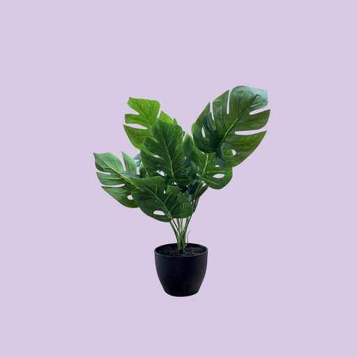 [2066] Kunstig Monstera